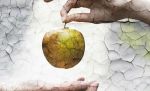 Paradisi e confini - Eva cogli la mela