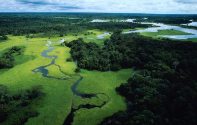 Amazonia  