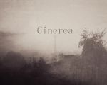 "Cinerea"