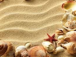 Conchiglie sulla sabbia