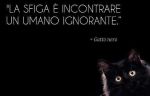 'N Gatto Nero