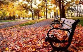 L’autunno della vita