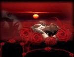 Bacia la rosa rossa
