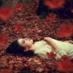 Scheletri di foglie rosse
