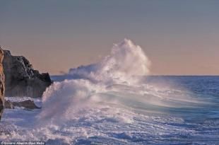 Onde di pensieri