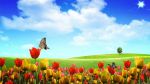 Tu Lieve