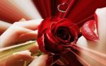 Una rosa per vivere amando
