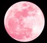 Luna d’ estate
