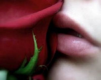 Rosa rossa di poesia