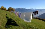 Vento d'autunno