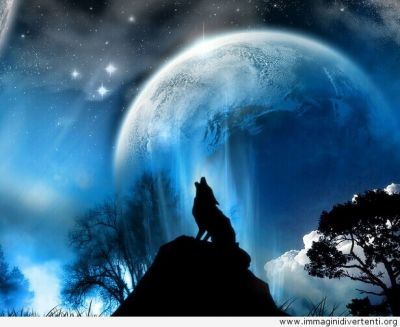Il lupo e la luna