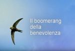 Il boomerang della benevolenza