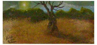 L'albero stanco