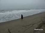 Mare d'inverno