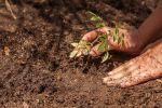 Tu già sapevi, che la felicità conserva il buon sapore della terra