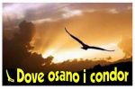 Dove osano i condor