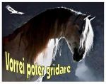 Vorrei poter gridare