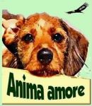 Anima amore