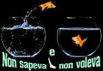 Non sapeva e non voleva