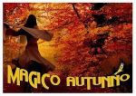 Magico autunno - 2