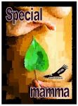 Special mamma