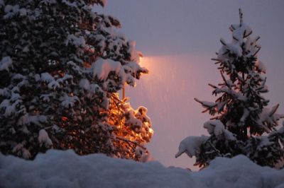 Una serenata all'avvenire