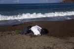 In questo silenzio d’ombra