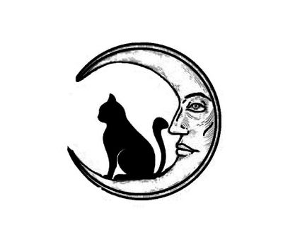 Il gatto e la luna