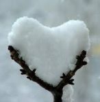 Tempo d'amor perduto