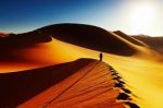 La duna della vita
