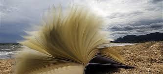 Libro al vento