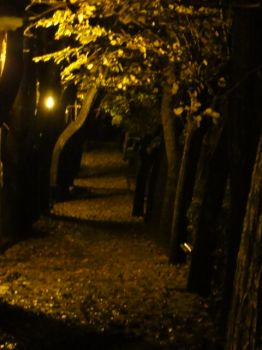 Viale d'Autunno