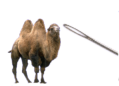 Il cammello e la cruna dell'ago  