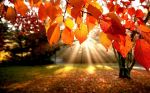 Clima d' autunno