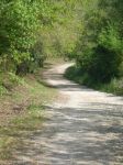 Il viale