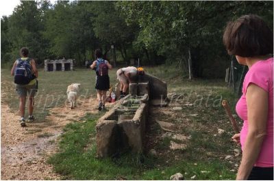 Sulle pendici de Frènfanu, tra Nursia et Fojanu!
