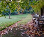 Voglia di autunno