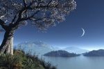 Quarto di luna