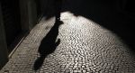 Ombra