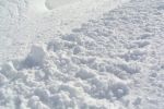 Neve