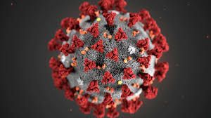 Coronavirus