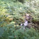 Ascolto il canto dell'acqua