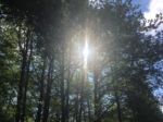 Fra la terra e la luce