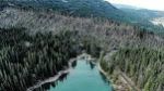 L’innocenza della natura