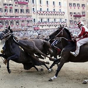 Messi cavallo nostro (Siena 02 luglio 2011)