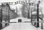 Auschwitz  Birkenau