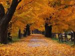 Notte D’Autunno