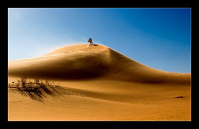 La ricchezza del deserto