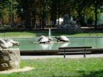 Al parco