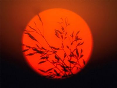 L'ultimo bacio dal sole